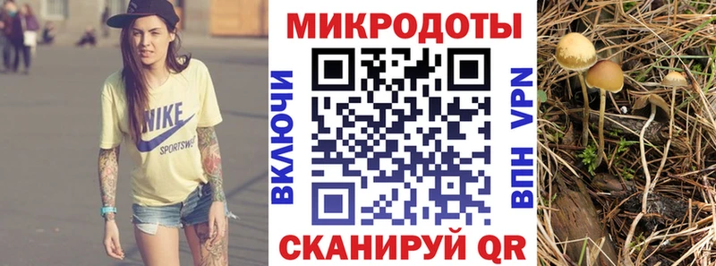 Псилоцибиновые грибы мухоморы  где найти наркотики  Сарапул 