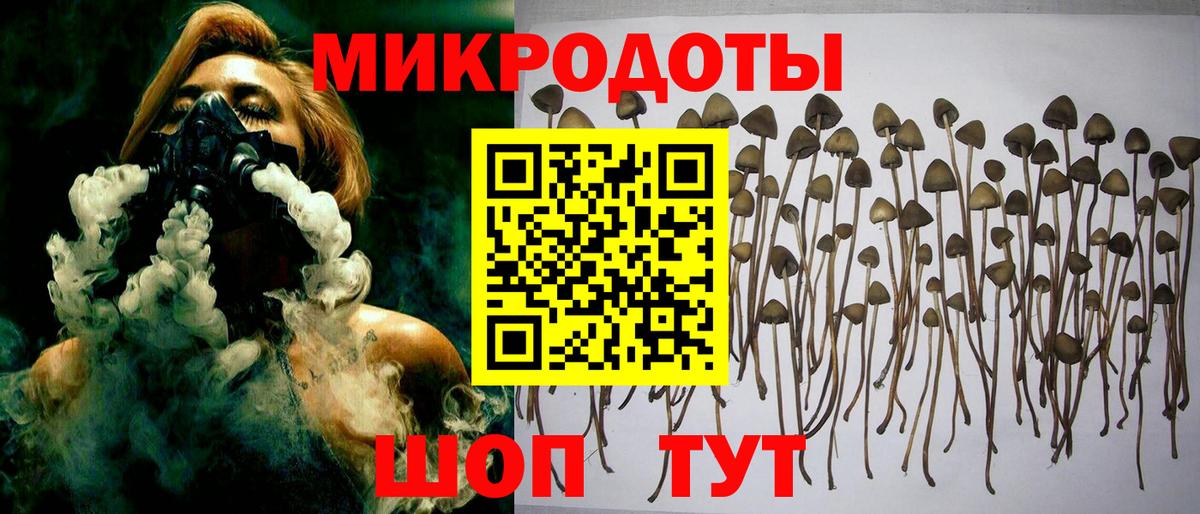 Сарапул  Псилоцибиновые грибы Psilocybine cubensis  Вход с VPN 